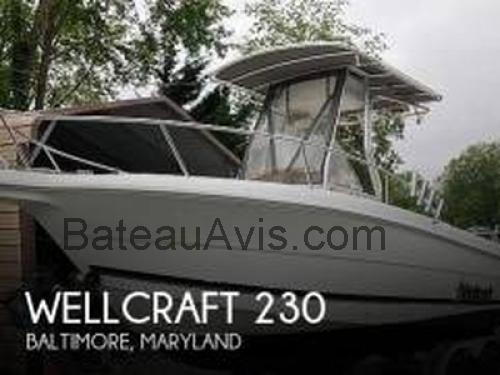 Wellcraft Fisherman 230 fiche technique et avis